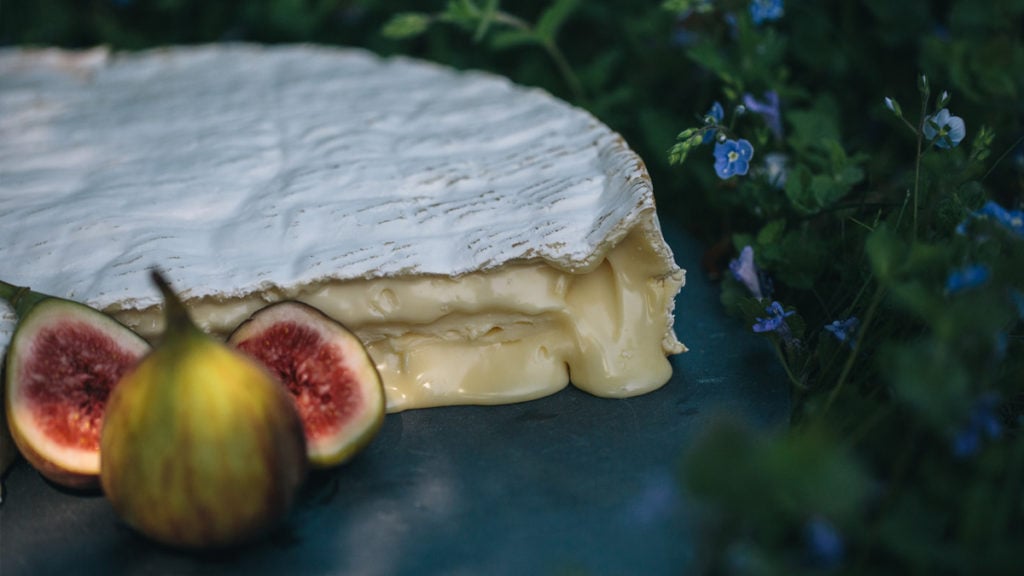 A picture of our delicious Baron Bigod brie, oozing on a slate with some figs